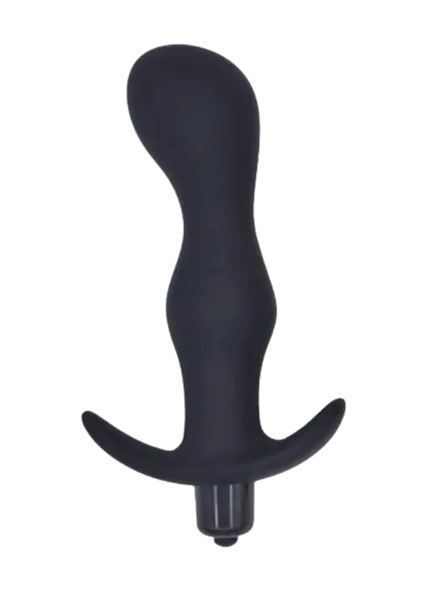 Basiks Noir Vibrating Butt Plug 13 cm Black