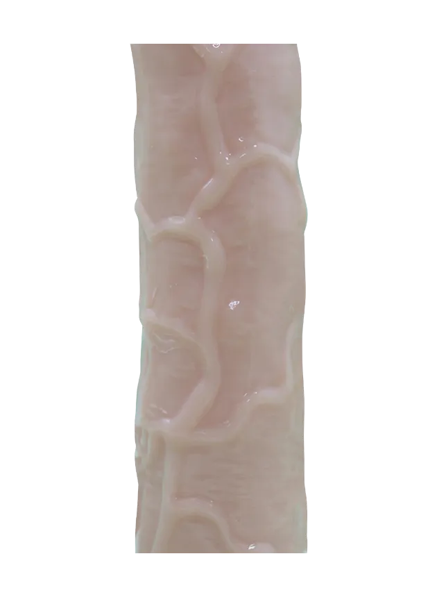 Dilly Playful Realistic Dildo With Suction Cup 20 cm